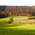 Herbstfarben im Ahrtal