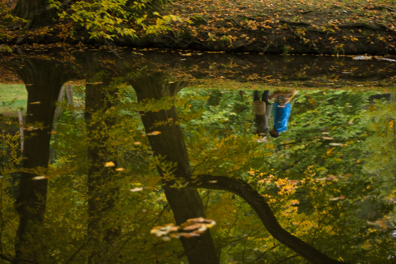 Herbstfarben im Bergpark Wilhelmshöhe.