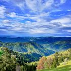 Herbstfarben im Frühling