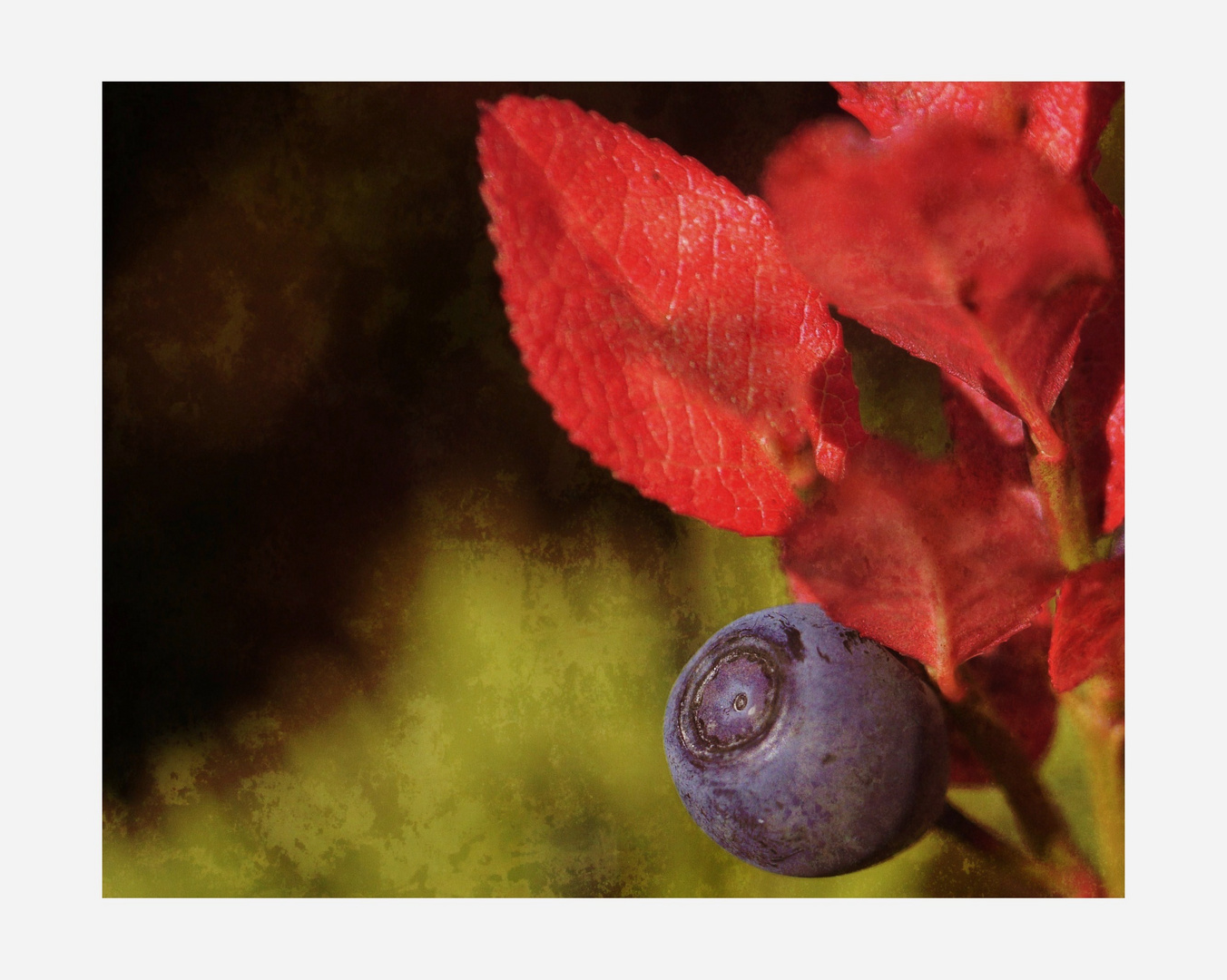 Herbstfarben im Gebirge