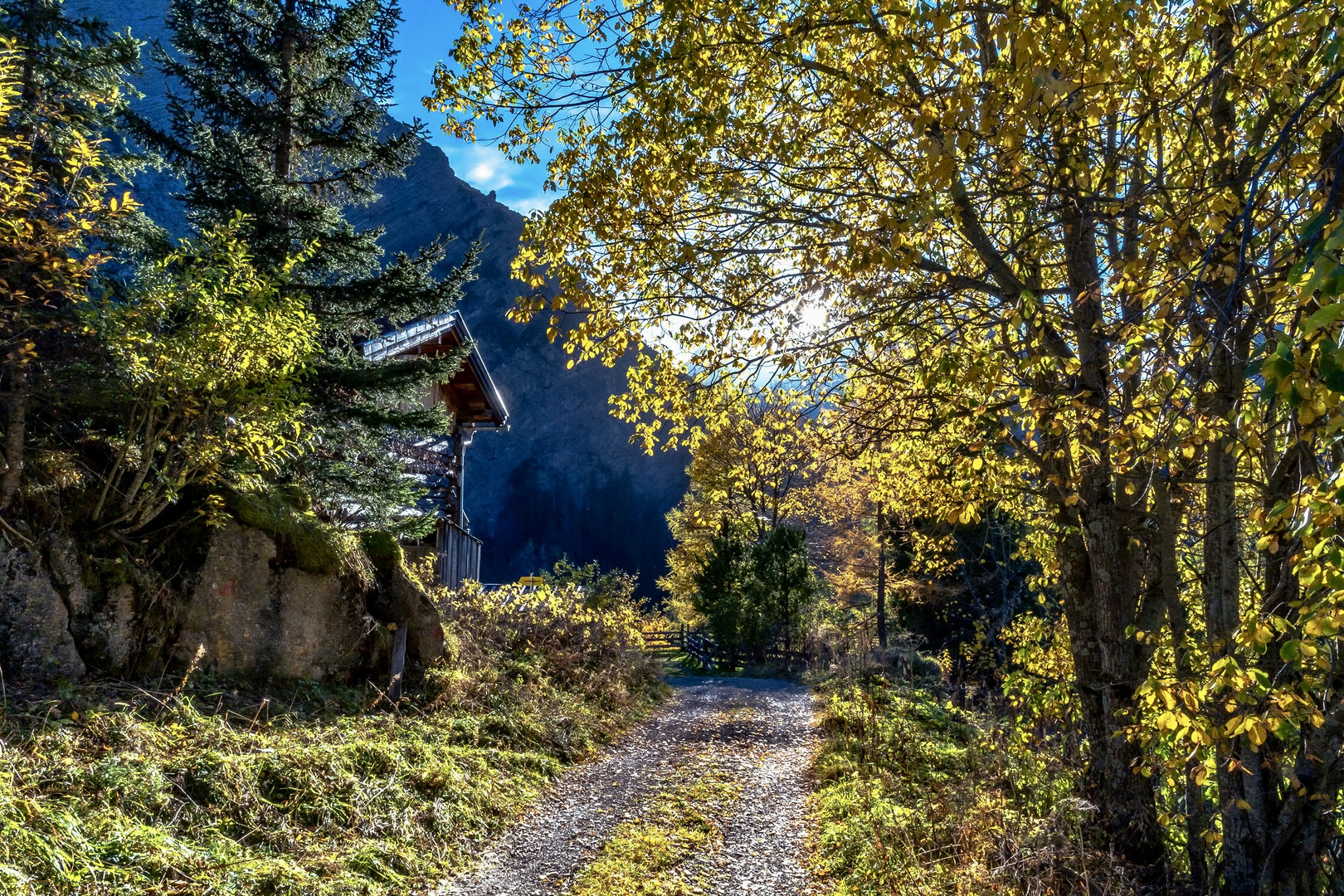 Herbstfarben im Gegenlicht