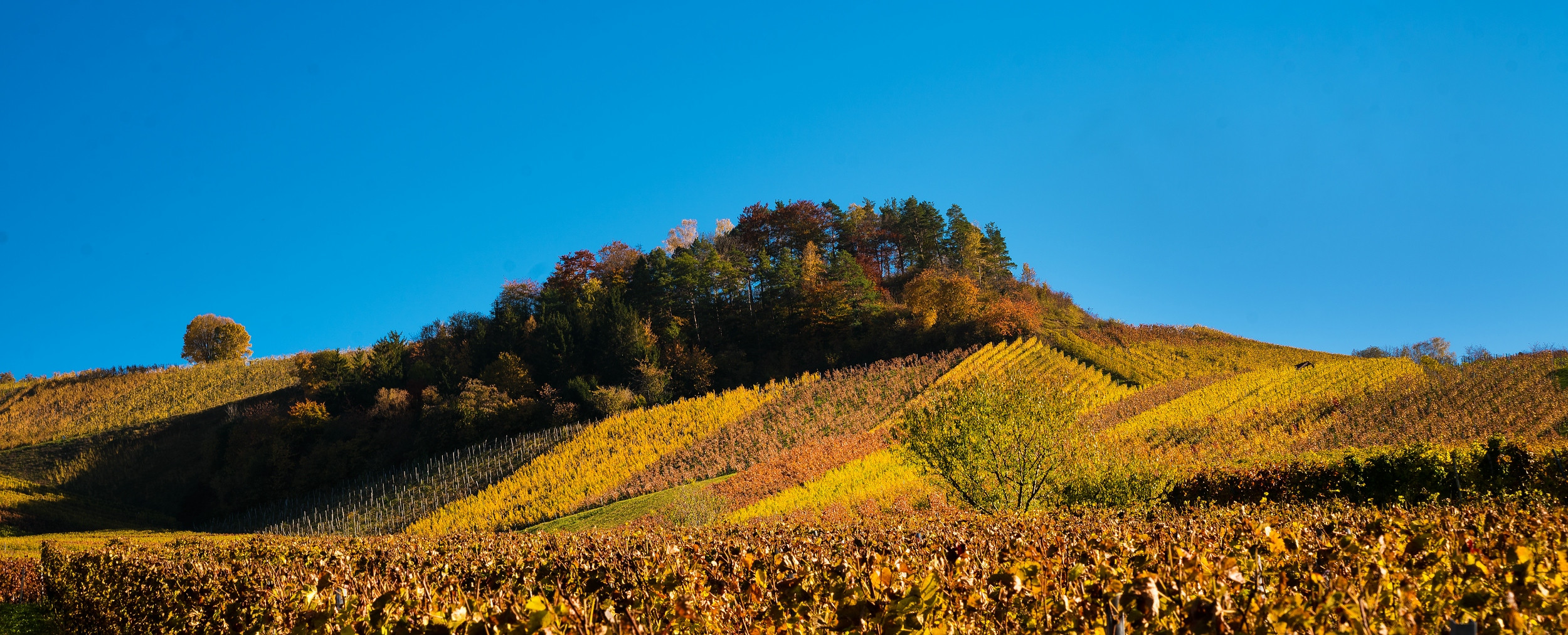 Herbstfarben im goldenen Oktober