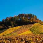 Herbstfarben im goldenen Oktober