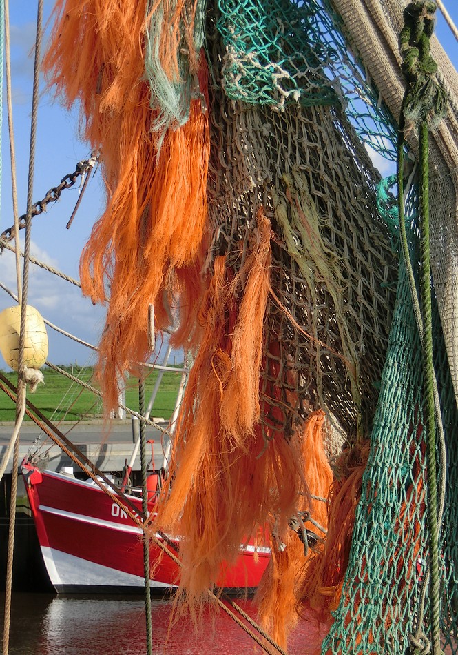 Herbstfarben im Hafen (2)