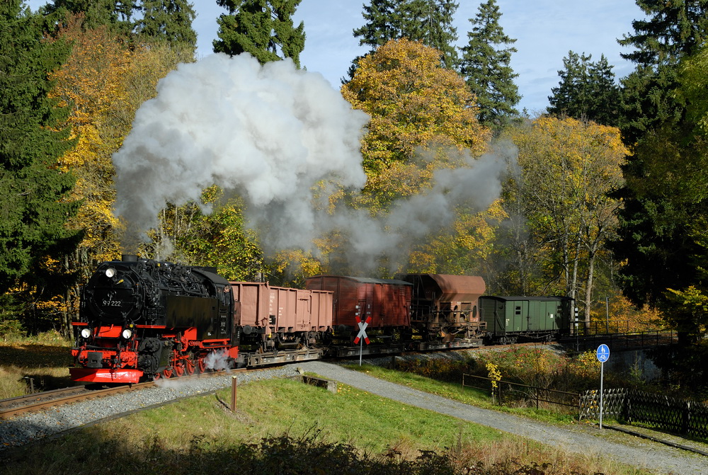 Herbstfarben im Harz