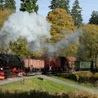 Herbstfarben im Harz