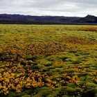 Herbstfarben im Hochland - Island