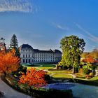 Herbstfarben im Hofgarten der Residenz.