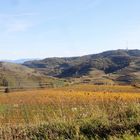 Herbstfarben im Kaiserstuhl - Badenberg und Totenkopf 