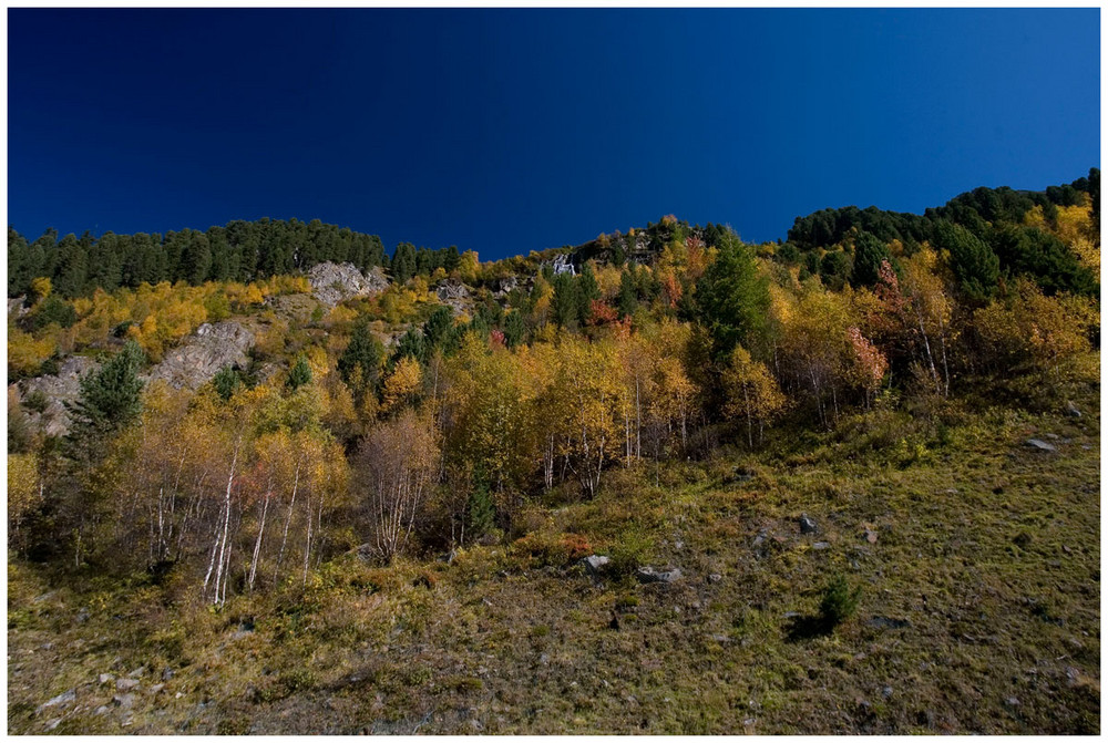 Herbstfarben im Kaunertal - Tirol