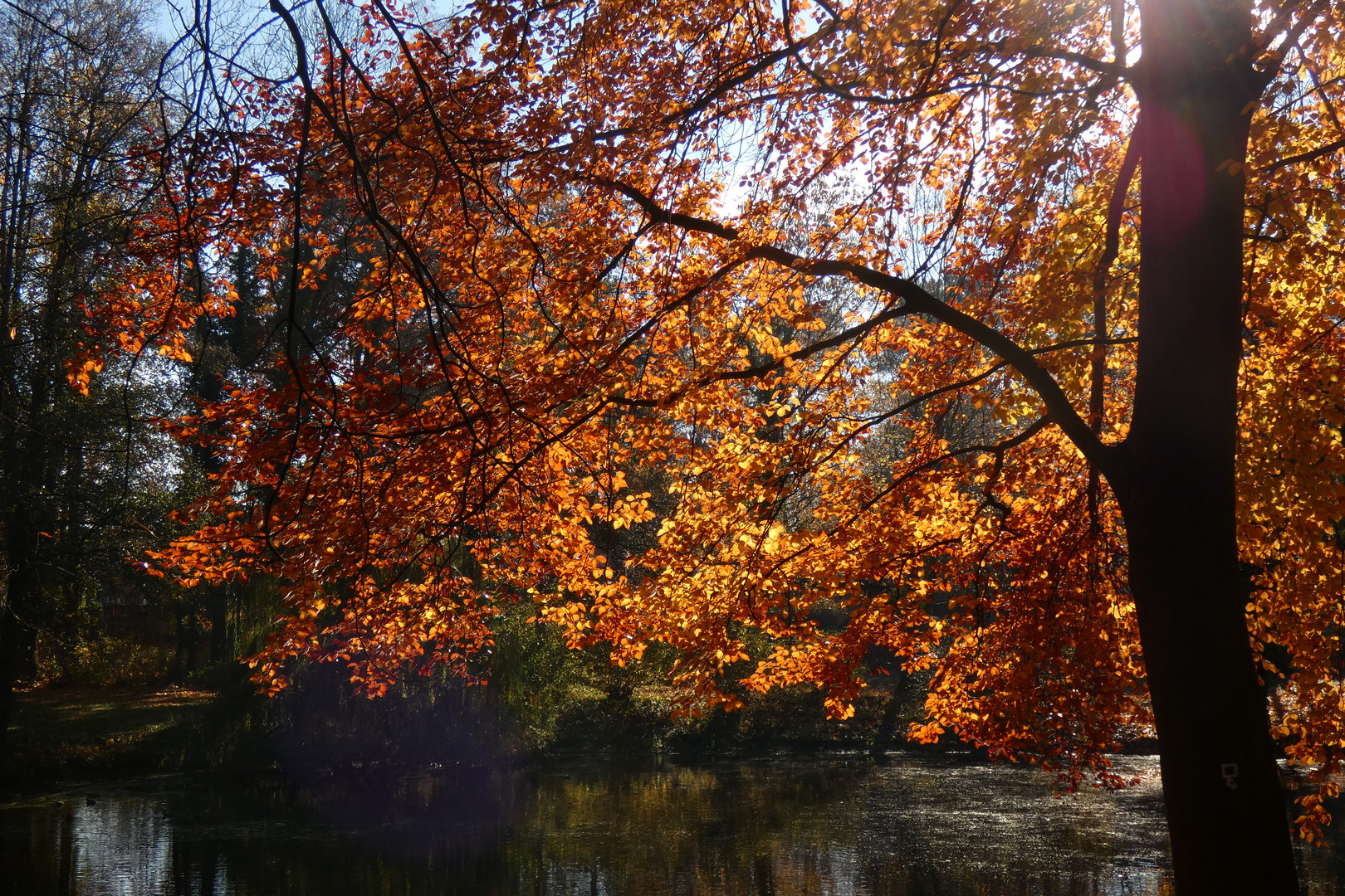 Herbstfarben im Kurpark von Bad Hamm