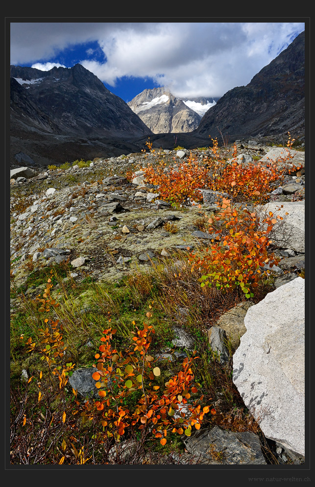 Herbstfarben im Lauteraar