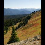 [ Herbstfarben im Manning Provincial Park ]