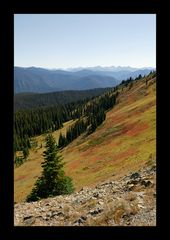 [ Herbstfarben im Manning Provincial Park ]