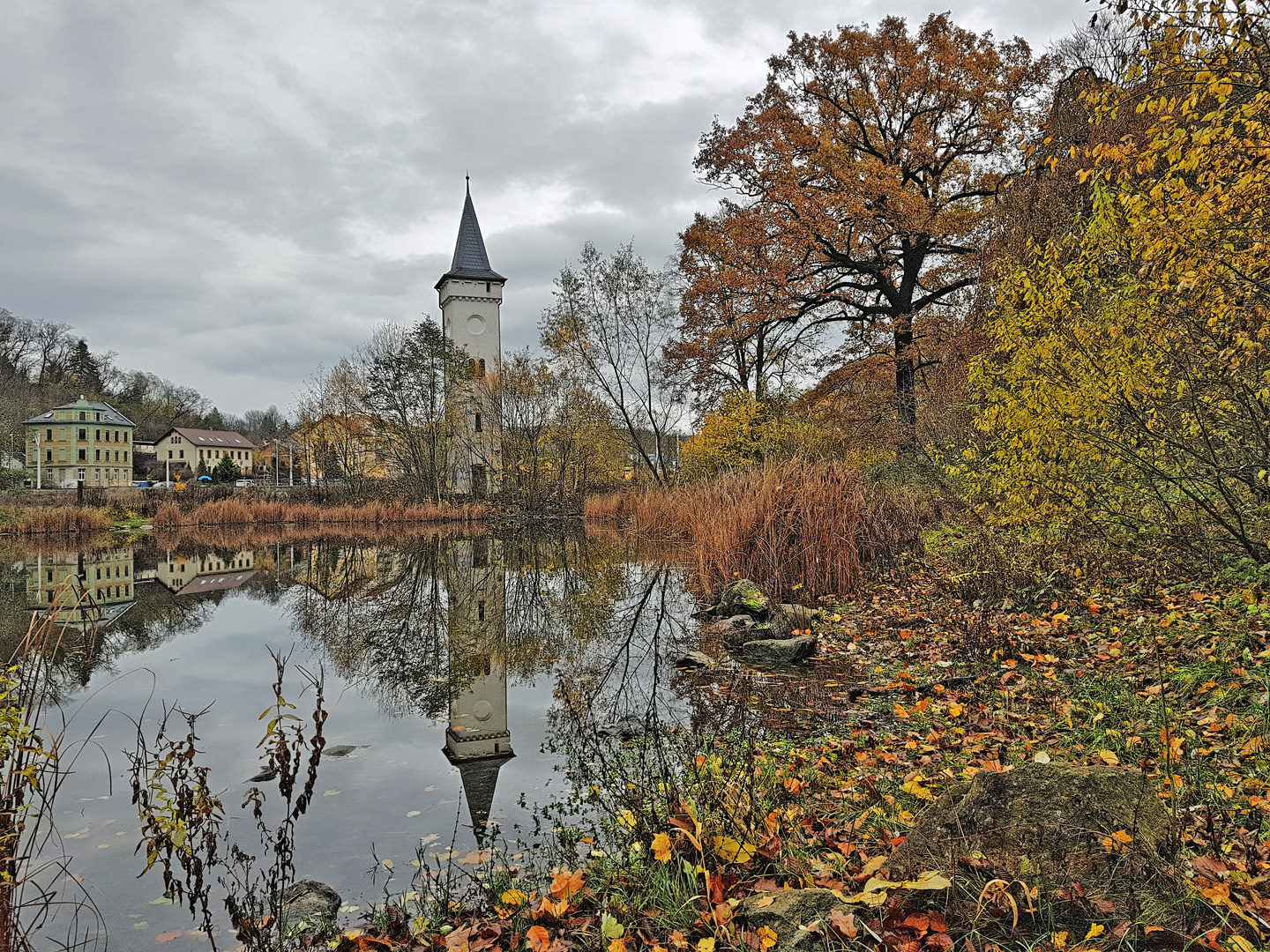 Herbstfarben im Novembergrau 