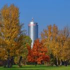 Herbstfarben im Paradies