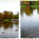 Herbstfarben im Park Wiesenburg