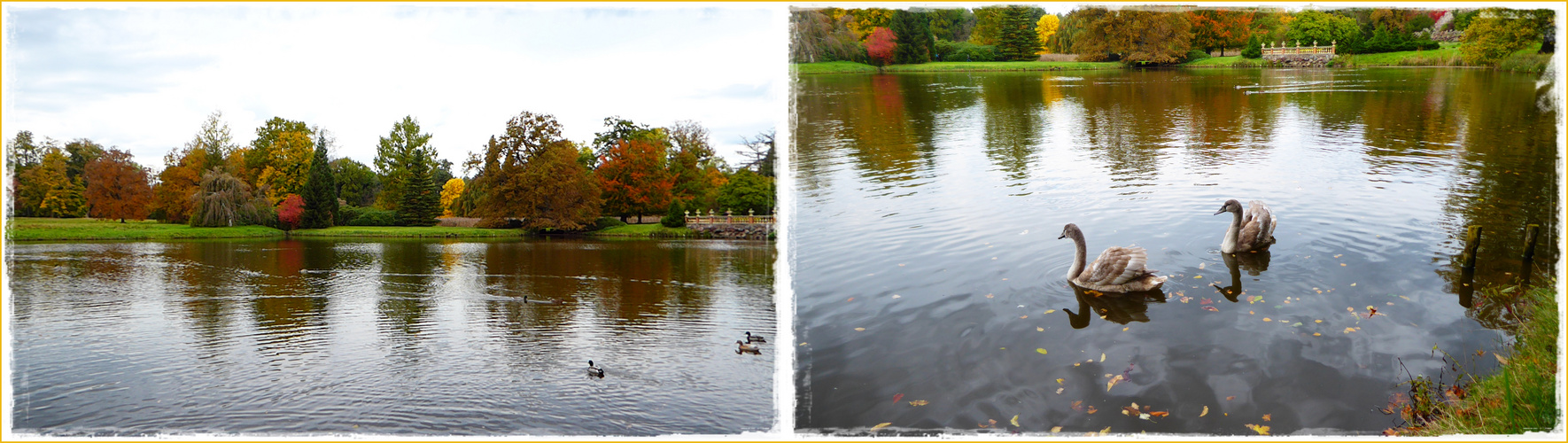 Herbstfarben im Park Wiesenburg