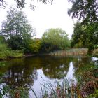 Herbstfarben im Regengrau