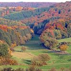 Herbstfarben im Saargau 1