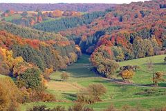 Herbstfarben im Saargau 1