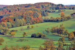 Herbstfarben im Saargau 2