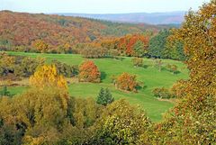 Herbstfarben im Saargau