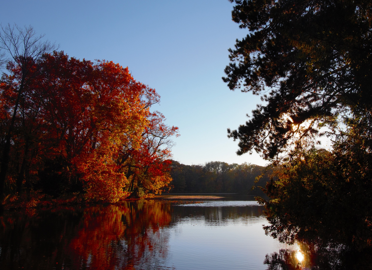 Herbstfarben im Schloßpark Laxenburg