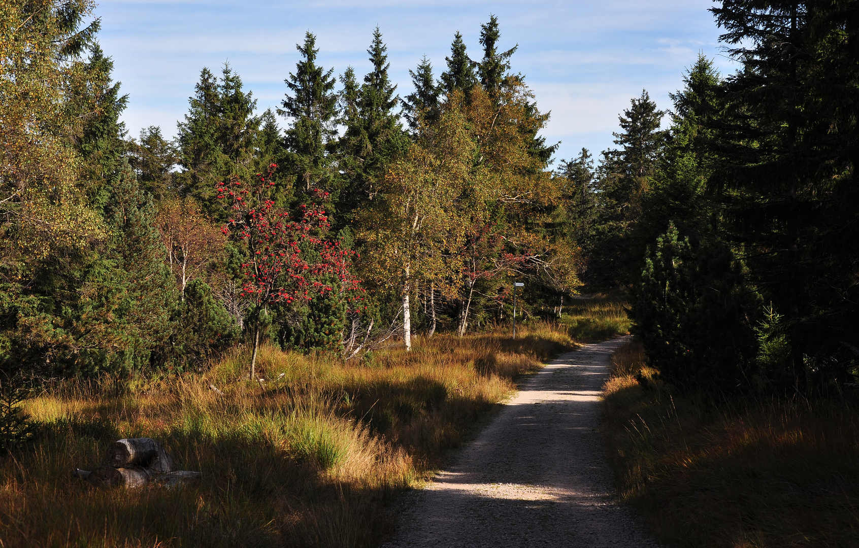 Herbstfarben im Schwarzwald