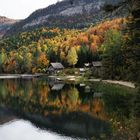 Herbstfarben im See