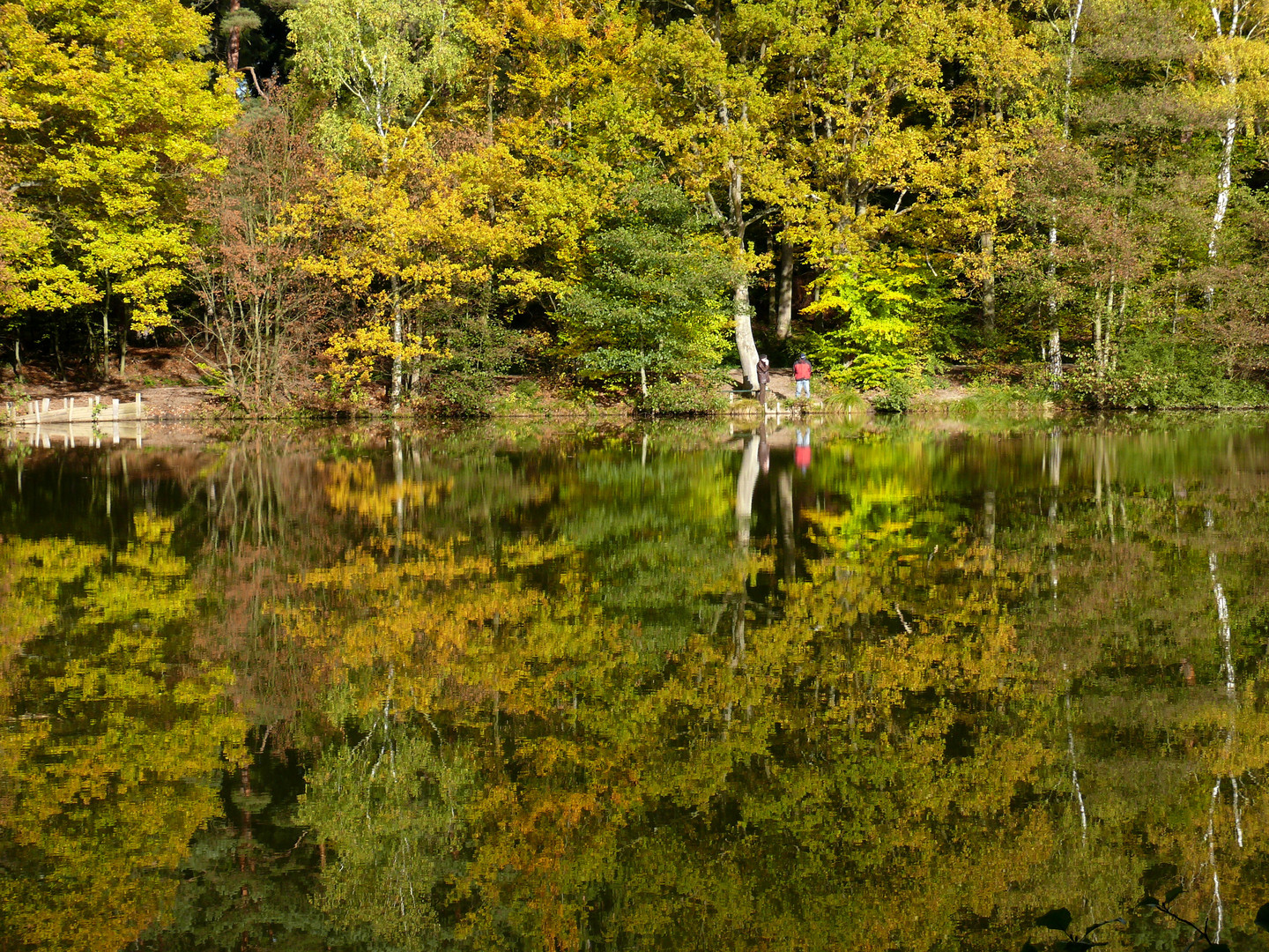 Herbstfarben im See