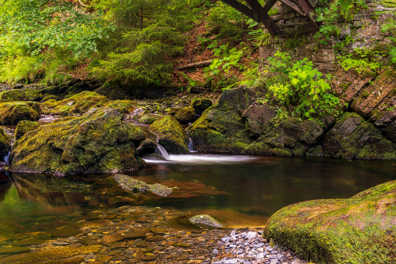 Herbstfarben im Sommer an der Oker