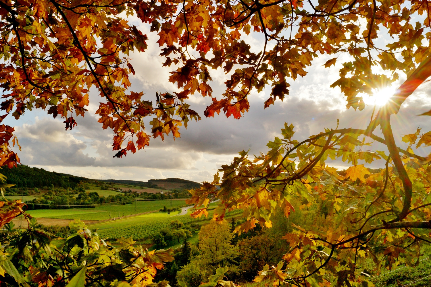 Herbstfarben im Sonnenlicht.