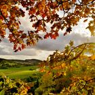 Herbstfarben im Sonnenlicht.