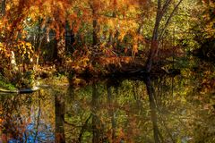 Herbstfarben im Spiegel