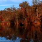 Herbstfarben im Spiegelbild #1