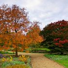 Herbstfarben im Stadtpark von Gütersloh