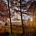 Herbstfarben im Taubertal.