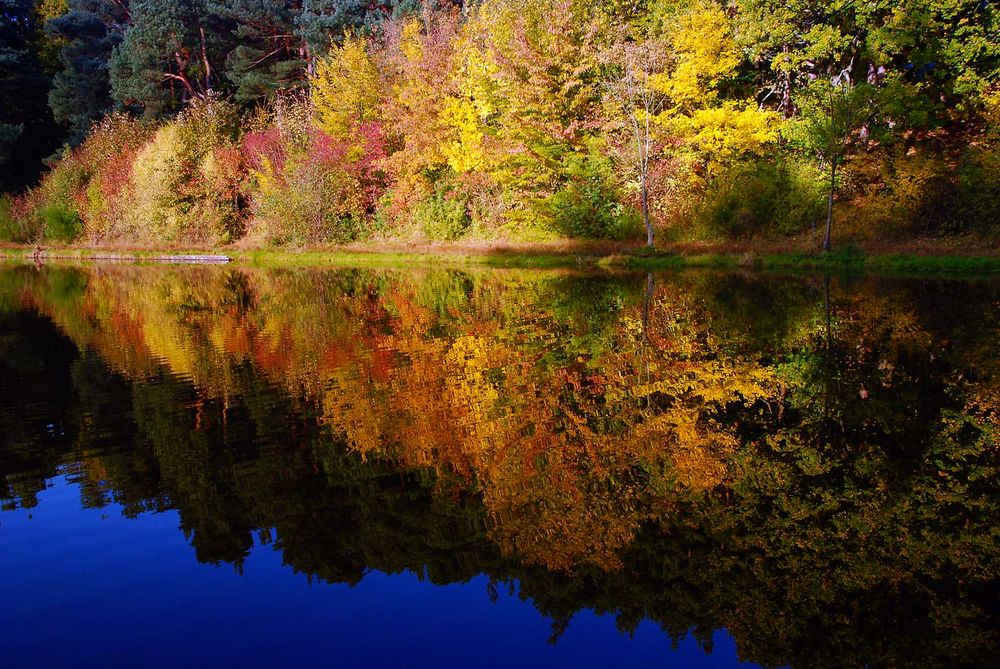 Herbstfarben im Taunus