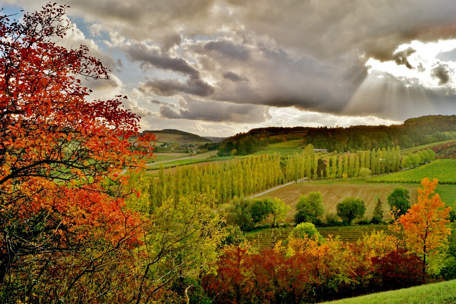 Herbstfarben im Umpfertal.