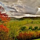 Herbstfarben im Umpfertal.