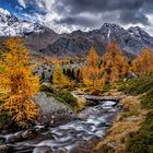 Herbstfarben im Val di Campo