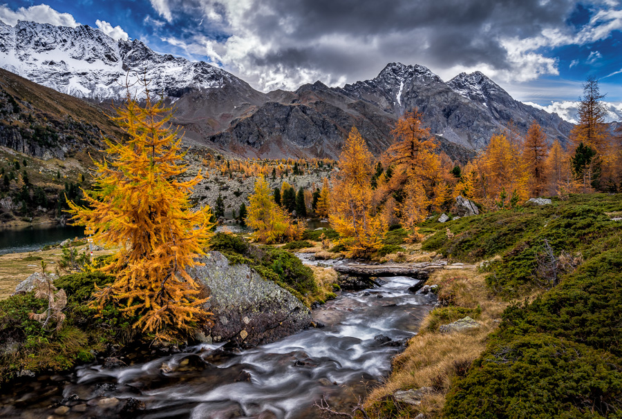 Herbstfarben im Val di Campo