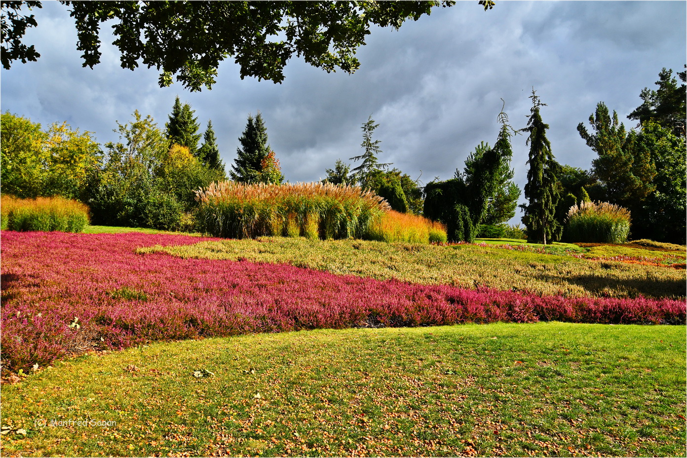 Herbstfarben im Vogelpark Marlow