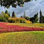 Herbstfarben im Vogelpark Marlow