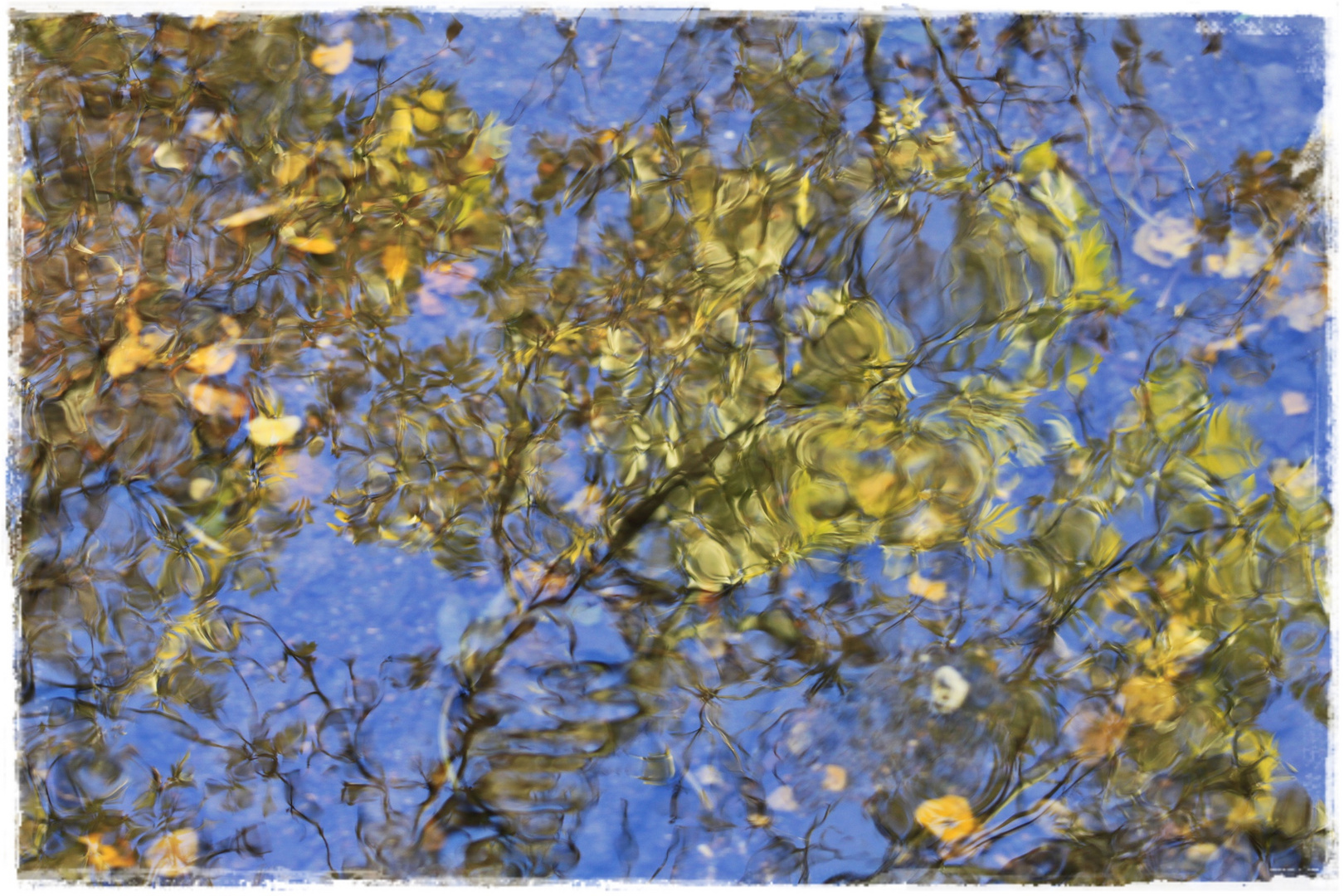 Herbstfarben im Wasser