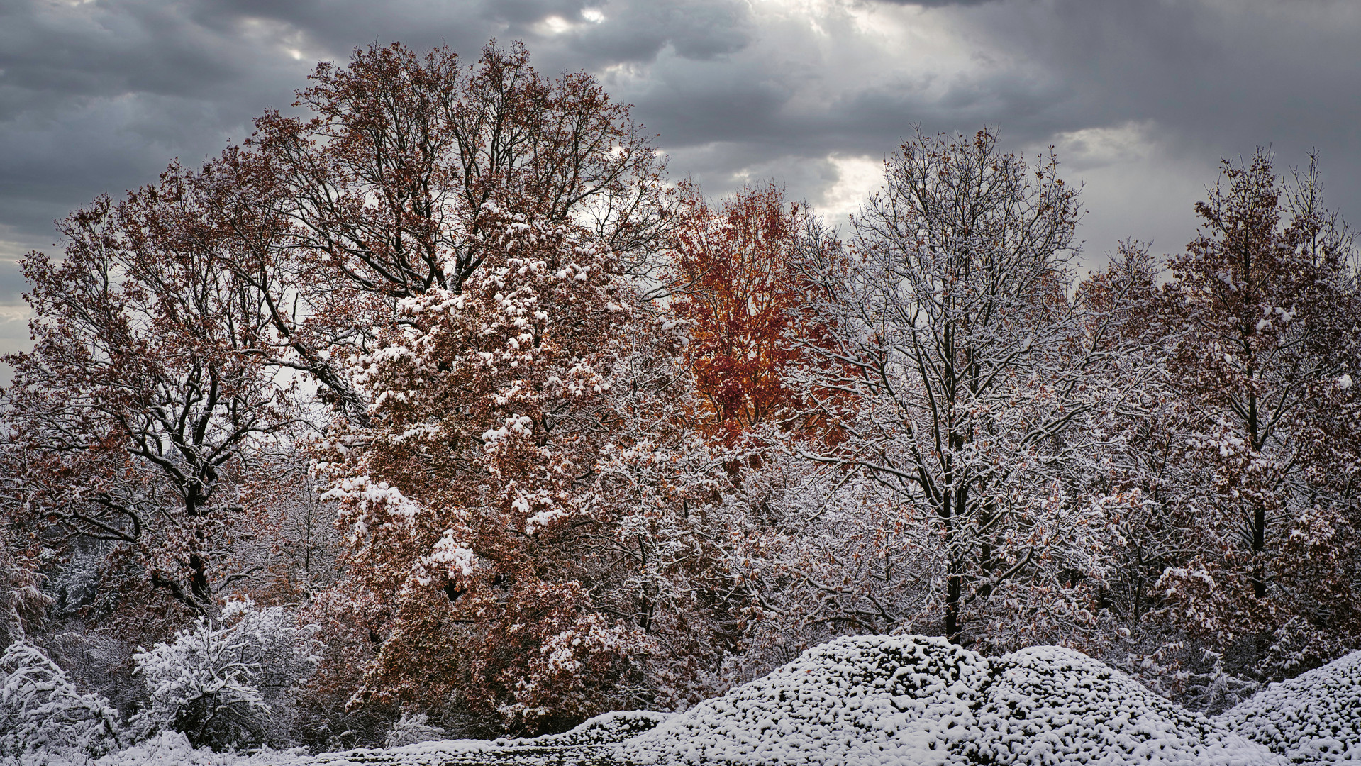 Herbstfarben im Winter