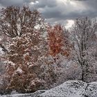 Herbstfarben im Winter