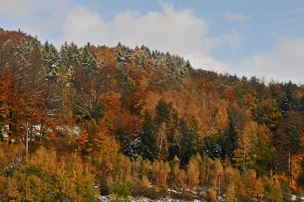 Herbstfarben im Winterkleid 2