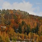 Herbstfarben im Winterkleid 2